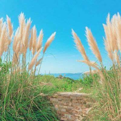 天天游戏app下载