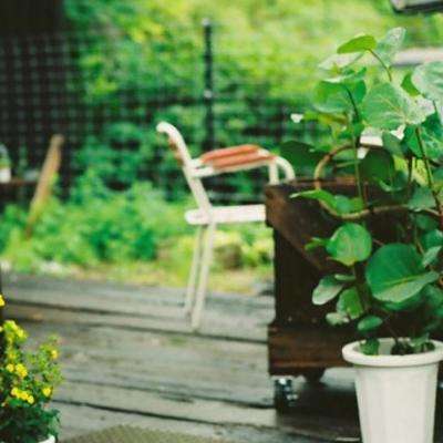 星空官方网站入口