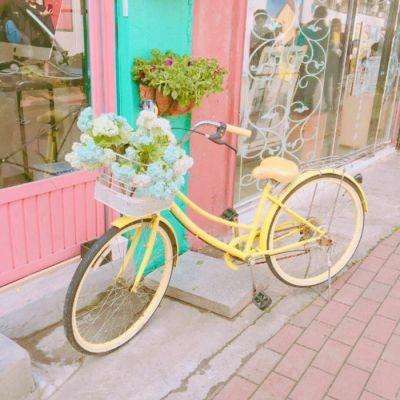 LOL外围官网下载手机版截图